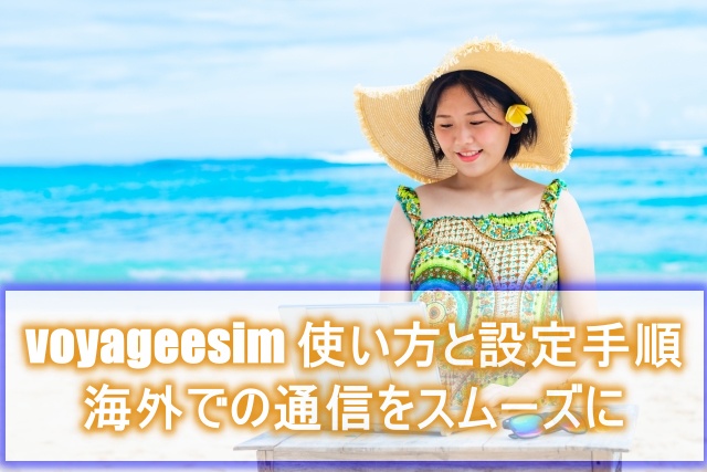 voyageesim 使い方